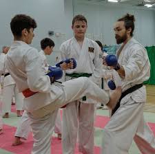 Image result for Konjaku Shin National School Of Karate, Lincolnshire