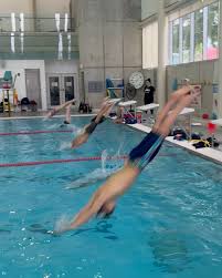 Image result for York University Pool Club