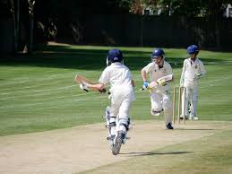 Image result for Reed Cricket Club