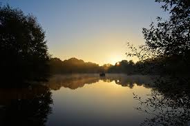 Image result for Woking & District Angling Association