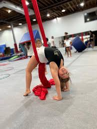 Image result for Aerodyne Gymnastics Club