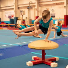 Image result for Hull High Flyers Gymnastics Club