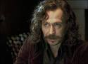 Sirius tiene la barba roja y