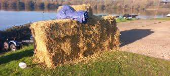 Image result for Tonbridge Town Sailing Club