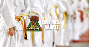 Image result for Martial Arts Karate Mesa AZ