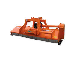 Image result for selvatici tehron