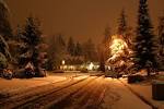 Everett, WA : Nov 06 snow photo, picture, image (Washington) at city-