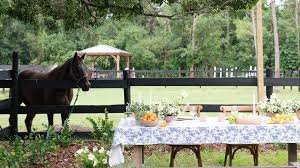 Image result for Kings Ranch Riding School/Club