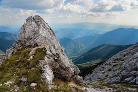 Image result for vogel