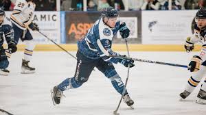 Image result for Romford Junior Ice Hockey Club