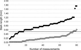 Attēlu rezultāti vaicājumam “Lamproderma puncticulatum stalked”