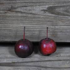 Attēlu rezultāti vaicājumam “Malus prunifolia fruit”