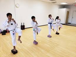 Image result for Kidderminster Tae Kwon Do Tigers