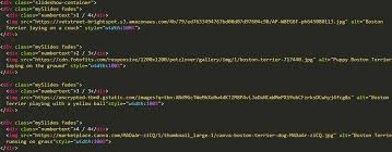 Image result for tbn<img src=