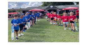 Image result for Chatteris Cricket Club