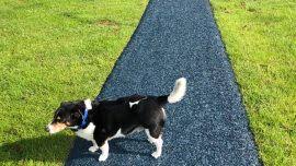 Image result for RETRACEURING STEPS