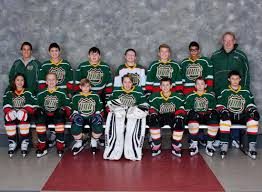 Image result for Waverley & Inveresk Hockey Club