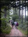 Camino de Santiago Tours | Santiago de Compostela | Camino de Santiago