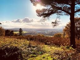 Image result for Guildford and Godalming Athletics Club