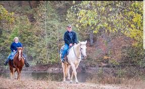 Image result for Rivernook Bowmen