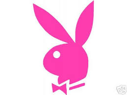 http://t0.gstatic.com/images?q=tbn:ANd9GcQAZPmFqB7POO_C_Ee5L7yUXfVdDbQ3HHDucSXhK_GQN2aP4O0i