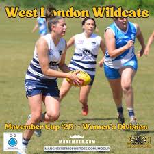 Image result for West London Wildcats