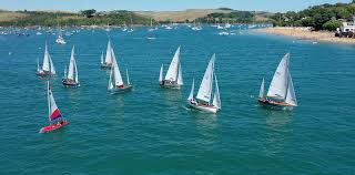 Image result for Salcombe Yacht Club