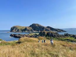 Image result for Scottish Rocks