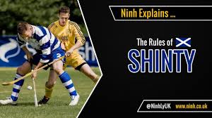 Image result for World of Shinty