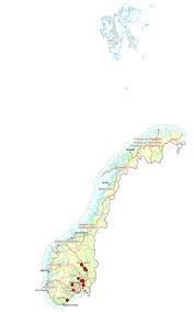 Attēlu rezultāti vaicājumam “Microbotryum tragopogonis - pratensis”