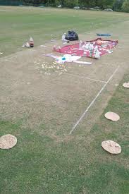 Image result for Ilford Cricket Club