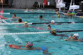 Image result for Grimsby Alexander Dolphins Swimming Club