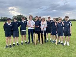 Image result for Yoxford Cricket Club