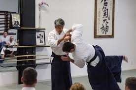 Image result for Fudokai Aikido Dojo