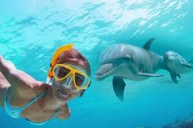 Image result for Belfairs Dolphins Snorkelling Club