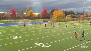 Image result for London Tecumsehs