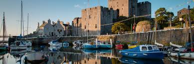 Image result for Castle Rushen Divers