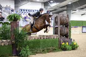 Image result for Shey Copse Riding Centre