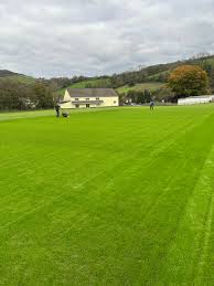 Image result for Bronwydd Cricket Club