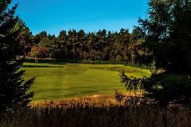 Image result for Stanedge Golf Club