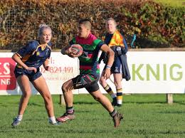 Image result for Ellingham and Ringwood Rugby Club