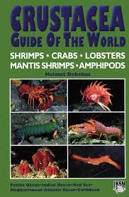 Attēlu rezultāti vaicājumam “Crustacea”