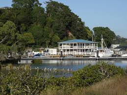 Image result for Watermouth Yacht Club