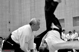 Image result for Kokyu Aikido Association