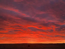 Image result for sunset