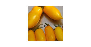 Afbeeldingsresultaat voor banana legs tomato