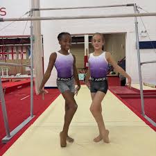 Image result for WALSALL GYMNASTICS CLUB