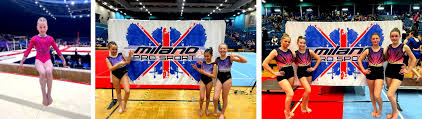 Image result for North Devon Display Gymnastics Club