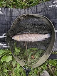 Image result for Plough Angling Society