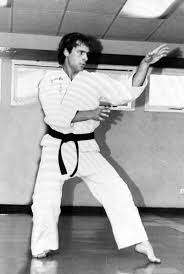 Image result for Nottingham Sankukai Karate